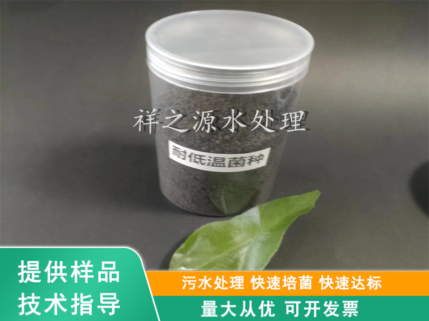 耐低溫菌種